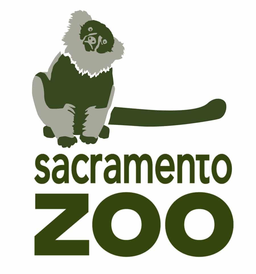 Saczoo Logo